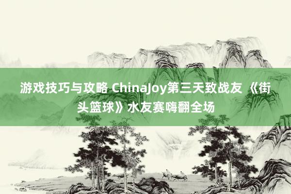 游戏技巧与攻略 ChinaJoy第三天致战友 《街头篮球》水友赛嗨翻全场