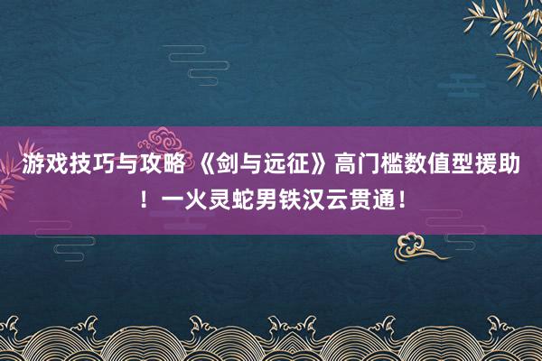 游戏技巧与攻略 《剑与远征》高门槛数值型援助！一火灵蛇男铁汉云贯通！