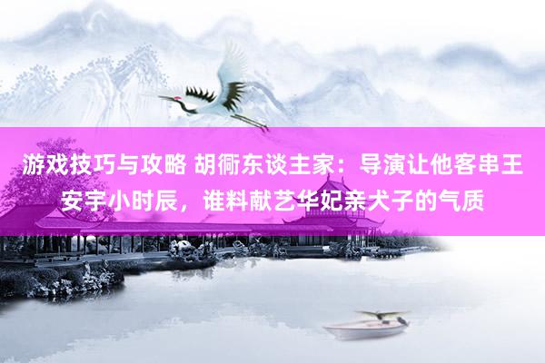 游戏技巧与攻略 胡衕东谈主家：导演让他客串王安宇小时辰，谁料献艺华妃亲犬子的气质