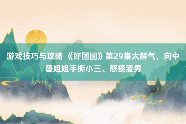 游戏技巧与攻略 《好团圆》第29集太解气，向中替姐姐手撕小三、怒揍渣男