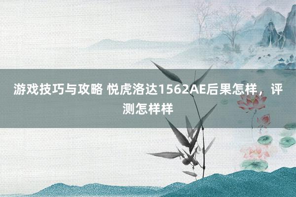 游戏技巧与攻略 悦虎洛达1562AE后果怎样，评测怎样样