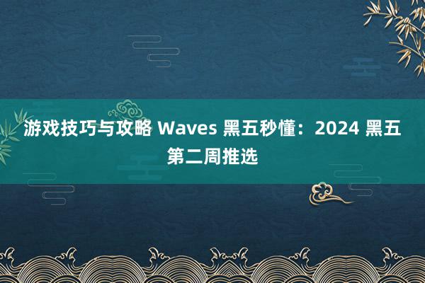 游戏技巧与攻略 Waves 黑五秒懂：2024 黑五第二周推选