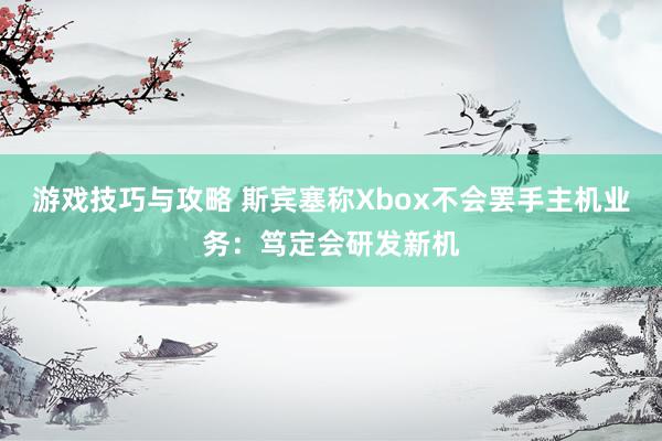 游戏技巧与攻略 斯宾塞称Xbox不会罢手主机业务：笃定会研发新机