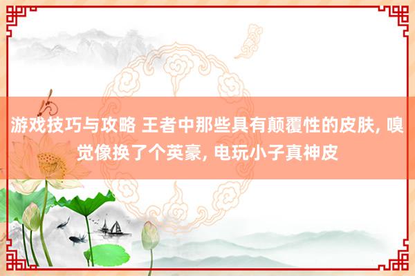 游戏技巧与攻略 王者中那些具有颠覆性的皮肤, 嗅觉像换了个英豪, 电玩小子真神皮