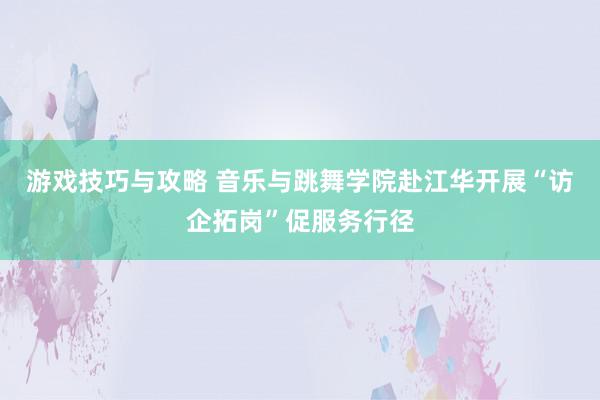 游戏技巧与攻略 音乐与跳舞学院赴江华开展“访企拓岗”促服务行径