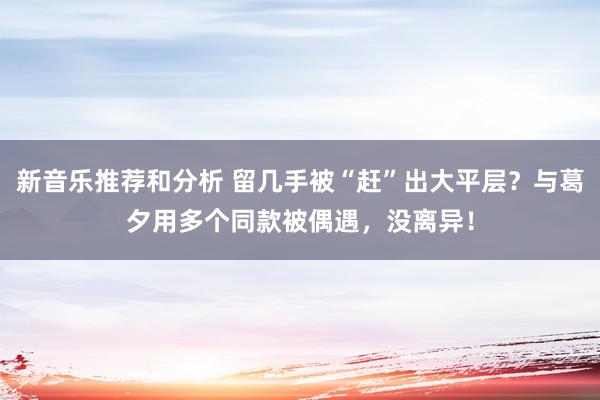 新音乐推荐和分析 留几手被“赶”出大平层？与葛夕用多个同款被偶遇，没离异！