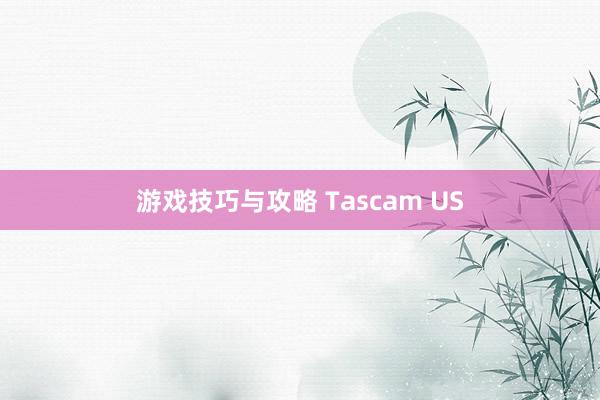 游戏技巧与攻略 Tascam US