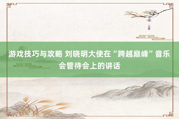 游戏技巧与攻略 刘晓明大使在“跨越巅峰”音乐会管待会上的讲话