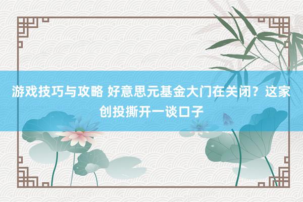 游戏技巧与攻略 好意思元基金大门在关闭？这家创投撕开一谈口子