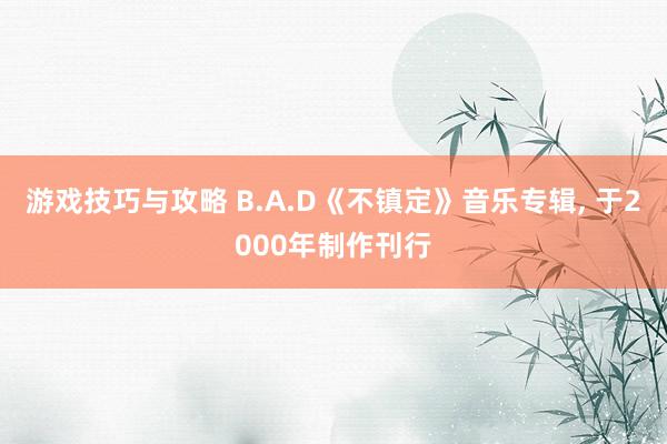 游戏技巧与攻略 B.A.D《不镇定》音乐专辑, 于2000年制作刊行