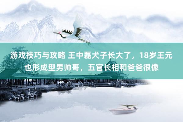 游戏技巧与攻略 王中磊犬子长大了，18岁王元也形成型男帅哥，五官长相和爸爸很像