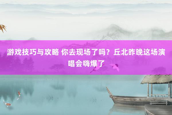 游戏技巧与攻略 你去现场了吗？丘北昨晚这场演唱会嗨爆了