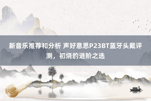 新音乐推荐和分析 声好意思P23BT蓝牙头戴评测，初烧的进阶之选