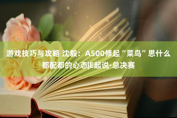 游戏技巧与攻略 沈毅：A500修起“菜鸟”思什么都配都的心态|E起说·总决赛