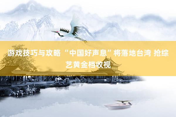 游戏技巧与攻略 “中国好声息”将落地台湾 抢综艺黄金档收视