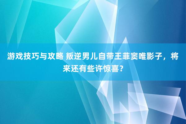 游戏技巧与攻略 叛逆男儿自带王菲窦唯影子，将来还有些许惊喜？