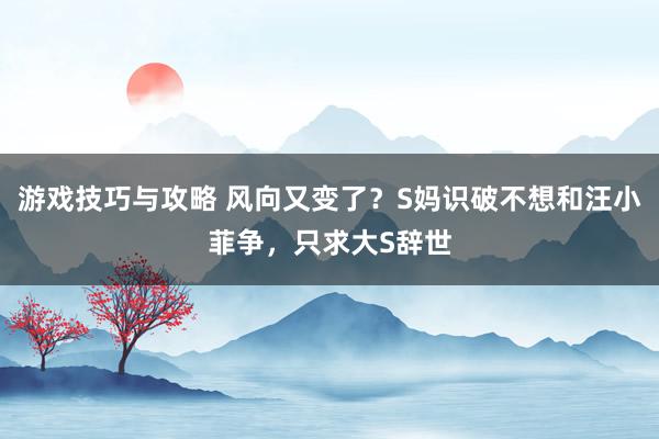 游戏技巧与攻略 风向又变了？S妈识破不想和汪小菲争，只求大S辞世