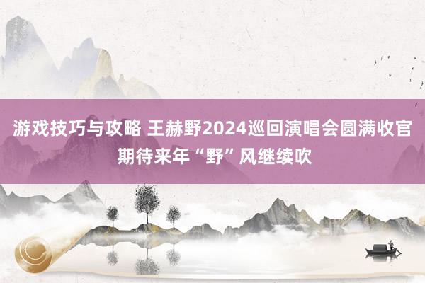 游戏技巧与攻略 王赫野2024巡回演唱会圆满收官 期待来年“野”风继续吹