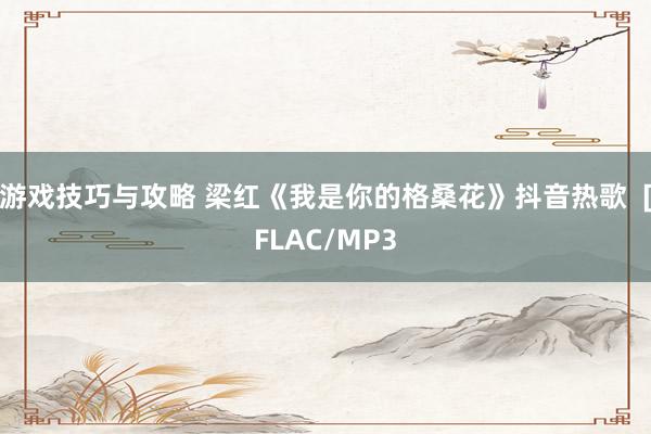 游戏技巧与攻略 梁红《我是你的格桑花》抖音热歌  [FLAC/MP3