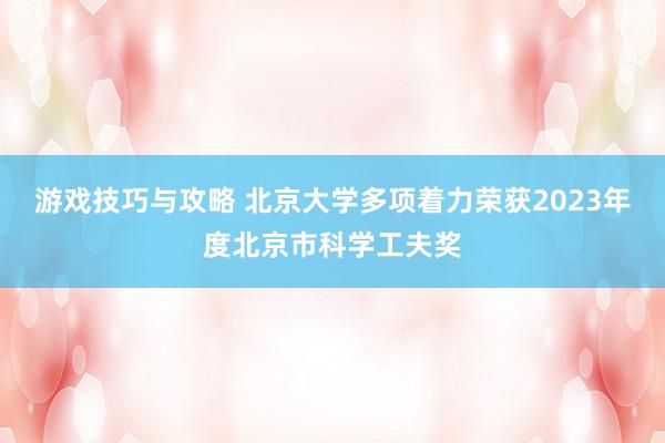 游戏技巧与攻略 北京大学多项着力荣获2023年度北京市科学工夫奖